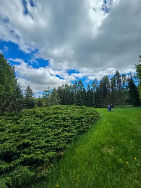 Bereketli yeşillik ve mavi gökyüzü ile canlı güneşli bir manzara. Turizm, reklam ve olumlu içerik için mükemmel. Sıcak yaz renkleri ve doğanın ahengi