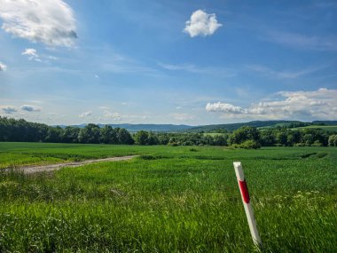 Uçsuz bucaksız zirveleri olan büyüleyici dağ manzarası bulutlarda kayboluyor. Seyahat markaları, ilham verici projeler ve eko-tasarım için mükemmel.