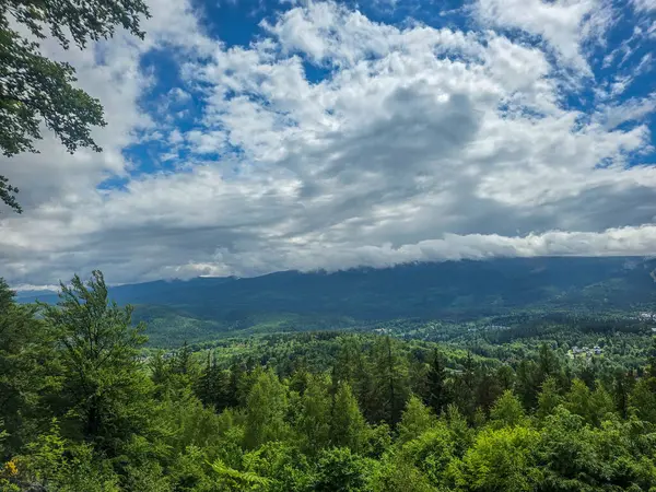 Gözlem güvertesinden nefes kesen dağ manzarası. Seyahat siteleri, tatil köyü reklamları ve ilham verici içerikler için mükemmel.
