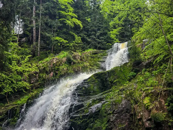Heybetli bir dağ şelalesi engebeli uçurumlardan aşağı yuvarlanıyor doğanın mükemmel güç ve güzellik karışımı. Seyahat içeriği, ilham verici projeler ve eko markalaşma için ideal