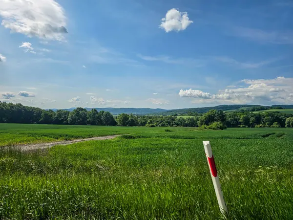 Uçsuz bucaksız zirveleri olan büyüleyici dağ manzarası bulutlarda kayboluyor. Seyahat markaları, ilham verici projeler ve eko-tasarım için mükemmel.