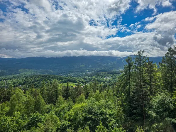 Gözlem güvertesinden nefes kesen dağ manzarası. Seyahat siteleri, tatil köyü reklamları ve ilham verici içerikler için mükemmel.
