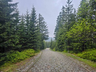 Yüksek tepelerden geçen dolambaçlı bir yolu olan çarpıcı bir dağ manzarası. Seyahat reklamları, ilham verici projeler ve macera markaları için mükemmel.