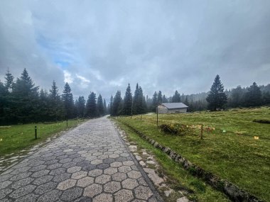 Yüksek tepelerden geçen dolambaçlı bir yolu olan çarpıcı bir dağ manzarası. Seyahat reklamları, ilham verici projeler ve macera markaları için mükemmel.