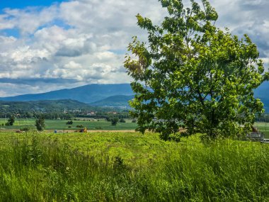 Uçsuz bucaksız zirveleri olan büyüleyici dağ manzarası bulutlarda kayboluyor. Seyahat markaları, ilham verici projeler ve eko-tasarım için mükemmel.