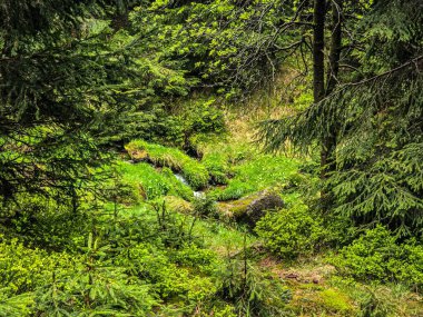 Manzaralı dağ yolları unutulmaz maceralar gerektiriyor. Seyahat acenteleri, macera blogları ve ilham verici içerikler için mükemmel.