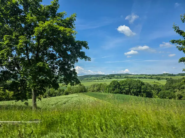 Uçsuz bucaksız zirveleri olan büyüleyici dağ manzarası bulutlarda kayboluyor. Seyahat markaları, ilham verici projeler ve eko-tasarım için mükemmel.
