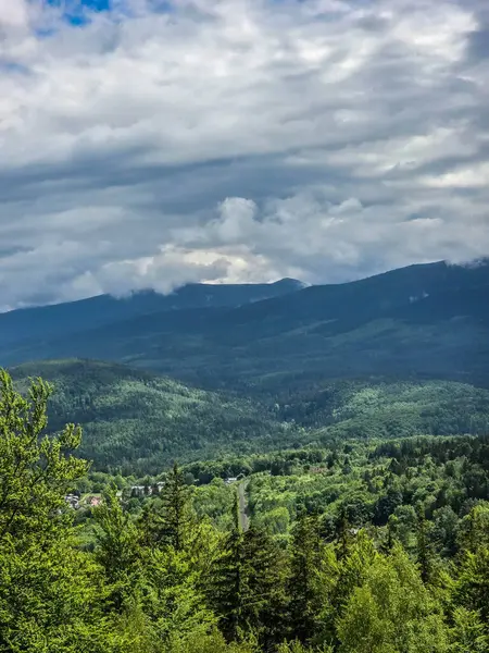 Gözlem güvertesinden nefes kesen dağ manzarası. Seyahat siteleri, tatil köyü reklamları ve ilham verici içerikler için mükemmel.