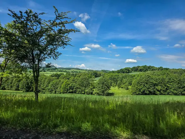 Uçsuz bucaksız zirveleri olan büyüleyici dağ manzarası bulutlarda kayboluyor. Seyahat markaları, ilham verici projeler ve eko-tasarım için mükemmel.