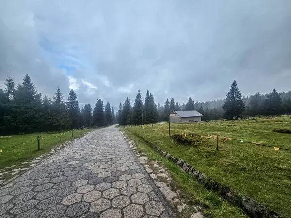 Yüksek tepelerden geçen dolambaçlı bir yolu olan çarpıcı bir dağ manzarası. Seyahat reklamları, ilham verici projeler ve macera markaları için mükemmel.