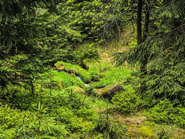 Manzaralı dağ yolları unutulmaz maceralar gerektiriyor. Seyahat acenteleri, macera blogları ve ilham verici içerikler için mükemmel.