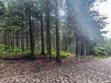 Yüksek tepelerden geçen dolambaçlı bir yolu olan çarpıcı bir dağ manzarası. Seyahat reklamları, ilham verici projeler ve macera markaları için mükemmel.