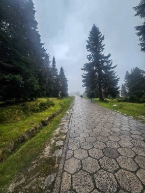 Yüksek tepelerden geçen dolambaçlı bir yolu olan çarpıcı bir dağ manzarası. Seyahat reklamları, ilham verici projeler ve macera markaları için mükemmel.