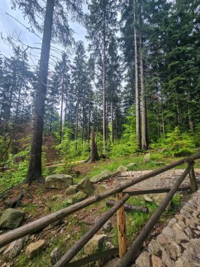 Görkemli tepeleri ve sonsuz vadileriyle nefes kesici dağ manzarası. Seyahat reklamcılığı, ilham verici içerik ve açık hava aktivite markalaşması için mükemmel.
