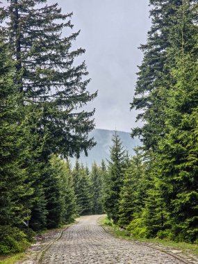 Yüksek tepelerden geçen dolambaçlı bir yolu olan çarpıcı bir dağ manzarası. Seyahat reklamları, ilham verici projeler ve macera markaları için mükemmel.