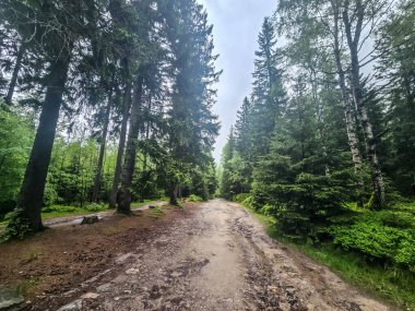 Yüksek tepelerden geçen dolambaçlı bir yolu olan çarpıcı bir dağ manzarası. Seyahat reklamları, ilham verici projeler ve macera markaları için mükemmel.