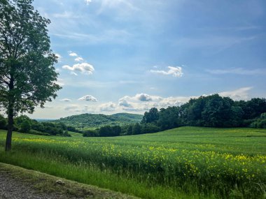Uçsuz bucaksız zirveleri olan büyüleyici dağ manzarası bulutlarda kayboluyor. Seyahat markaları, ilham verici projeler ve eko-tasarım için mükemmel.