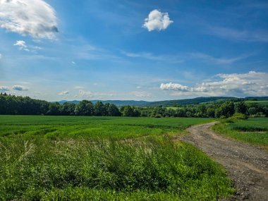 Uçsuz bucaksız zirveleri olan büyüleyici dağ manzarası bulutlarda kayboluyor. Seyahat markaları, ilham verici projeler ve eko-tasarım için mükemmel.