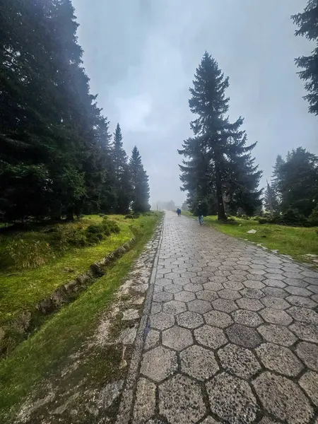 Yüksek tepelerden geçen dolambaçlı bir yolu olan çarpıcı bir dağ manzarası. Seyahat reklamları, ilham verici projeler ve macera markaları için mükemmel.