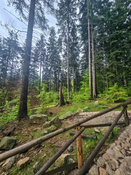 Görkemli tepeleri ve sonsuz vadileriyle nefes kesici dağ manzarası. Seyahat reklamcılığı, ilham verici içerik ve açık hava aktivite markalaşması için mükemmel.