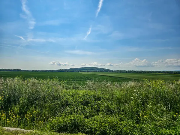 Uçsuz bucaksız zirveleri olan büyüleyici dağ manzarası bulutlarda kayboluyor. Seyahat markaları, ilham verici projeler ve eko-tasarım için mükemmel.