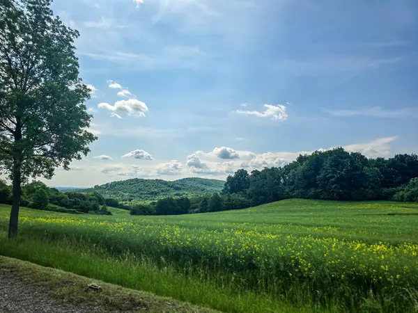 Uçsuz bucaksız zirveleri olan büyüleyici dağ manzarası bulutlarda kayboluyor. Seyahat markaları, ilham verici projeler ve eko-tasarım için mükemmel.