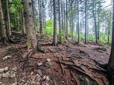 Görkemli tepeleri ve sonsuz vadileriyle nefes kesici dağ manzarası. Seyahat reklamcılığı, ilham verici içerik ve açık hava aktivite markalaşması için mükemmel.