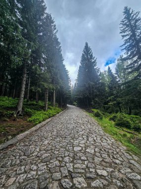 Görkemli tepeleri ve sonsuz vadileriyle nefes kesici dağ manzarası. Seyahat reklamcılığı, ilham verici içerik ve açık hava aktivite markalaşması için mükemmel.
