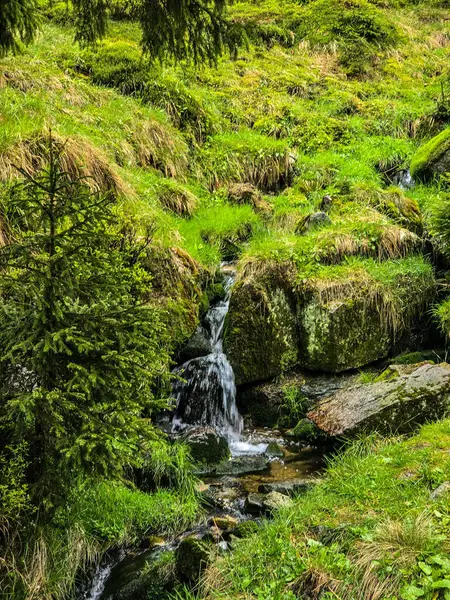 Manzaralı dağ yolları unutulmaz maceralar gerektiriyor. Seyahat acenteleri, macera blogları ve ilham verici içerikler için mükemmel.