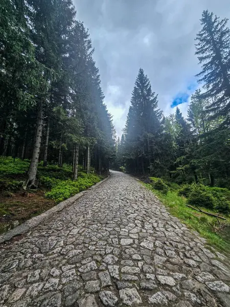 Görkemli tepeleri ve sonsuz vadileriyle nefes kesici dağ manzarası. Seyahat reklamcılığı, ilham verici içerik ve açık hava aktivite markalaşması için mükemmel.