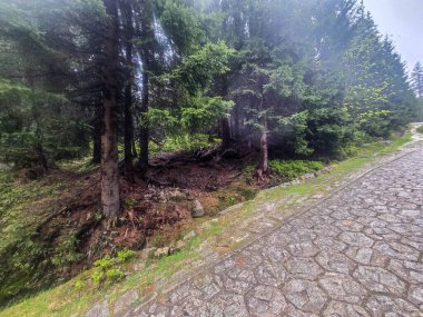 Yüksek tepelerden geçen dolambaçlı bir yolu olan çarpıcı bir dağ manzarası. Seyahat reklamları, ilham verici projeler ve macera markaları için mükemmel.