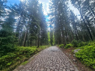 Yüksek tepelerden geçen dolambaçlı bir yolu olan çarpıcı bir dağ manzarası. Seyahat reklamları, ilham verici projeler ve macera markaları için mükemmel.