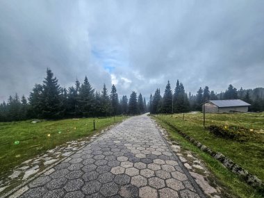 Yüksek tepelerden geçen dolambaçlı bir yolu olan çarpıcı bir dağ manzarası. Seyahat reklamları, ilham verici projeler ve macera markaları için mükemmel.