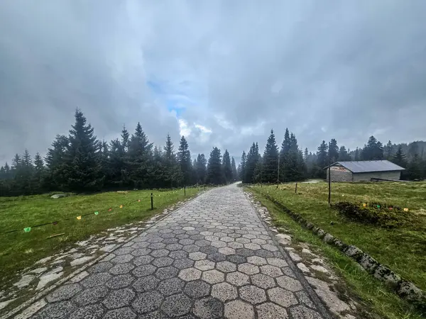 Yüksek tepelerden geçen dolambaçlı bir yolu olan çarpıcı bir dağ manzarası. Seyahat reklamları, ilham verici projeler ve macera markaları için mükemmel.