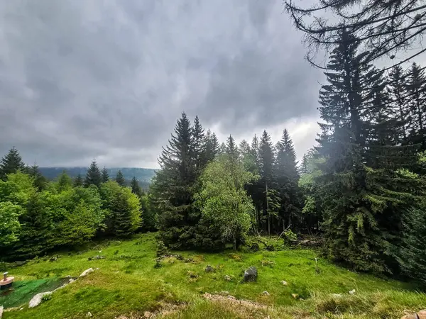 Görkemli tepeleri ve sonsuz vadileriyle nefes kesici dağ manzarası. Seyahat reklamcılığı, ilham verici içerik ve açık hava aktivite markalaşması için mükemmel.