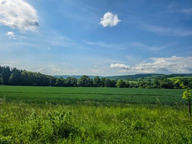 Uçsuz bucaksız zirveleri olan büyüleyici dağ manzarası bulutlarda kayboluyor. Seyahat markaları, ilham verici projeler ve eko-tasarım için mükemmel.