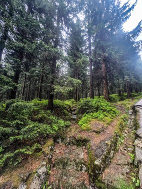 Görkemli tepeleri ve sonsuz vadileriyle nefes kesici dağ manzarası. Seyahat reklamcılığı, ilham verici içerik ve açık hava aktivite markalaşması için mükemmel.
