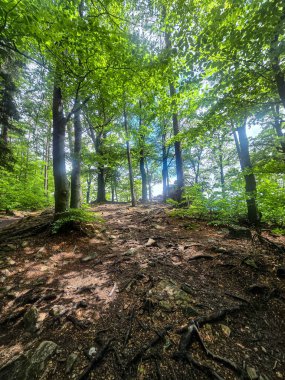 Görkemli tepeleri ve sonsuz vadileriyle nefes kesici dağ manzarası. Seyahat reklamcılığı, ilham verici içerik ve açık hava aktivite markalaşması için mükemmel.