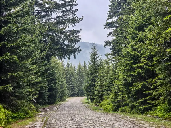 Yüksek tepelerden geçen dolambaçlı bir yolu olan çarpıcı bir dağ manzarası. Seyahat reklamları, ilham verici projeler ve macera markaları için mükemmel.