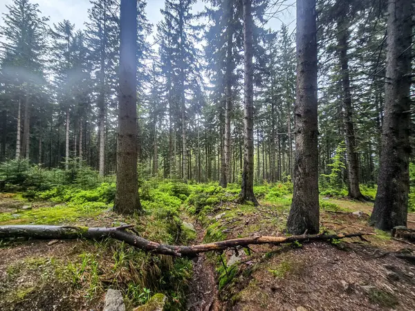 Görkemli tepeleri ve sonsuz vadileriyle nefes kesici dağ manzarası. Seyahat reklamcılığı, ilham verici içerik ve açık hava aktivite markalaşması için mükemmel.