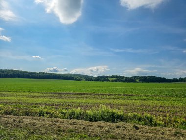 Uçsuz bucaksız zirveleri olan büyüleyici dağ manzarası bulutlarda kayboluyor. Seyahat markaları, ilham verici projeler ve eko-tasarım için mükemmel.