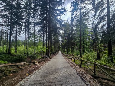 Yüksek tepelerden geçen dolambaçlı bir yolu olan çarpıcı bir dağ manzarası. Seyahat reklamları, ilham verici projeler ve macera markaları için mükemmel.