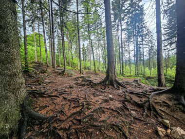 Görkemli tepeleri ve sonsuz vadileriyle nefes kesici dağ manzarası. Seyahat reklamcılığı, ilham verici içerik ve açık hava aktivite markalaşması için mükemmel.
