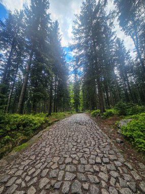 Yüksek tepelerden geçen dolambaçlı bir yolu olan çarpıcı bir dağ manzarası. Seyahat reklamları, ilham verici projeler ve macera markaları için mükemmel.