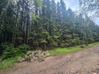 Yüksek tepelerden geçen dolambaçlı bir yolu olan çarpıcı bir dağ manzarası. Seyahat reklamları, ilham verici projeler ve macera markaları için mükemmel.