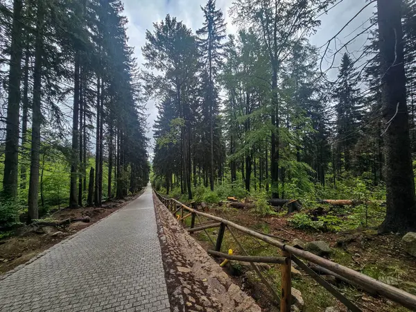 Yüksek tepelerden geçen dolambaçlı bir yolu olan çarpıcı bir dağ manzarası. Seyahat reklamları, ilham verici projeler ve macera markaları için mükemmel.