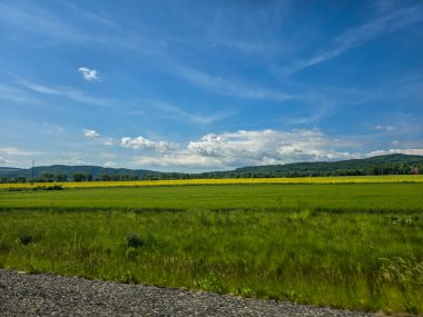 Uçsuz bucaksız zirveleri olan büyüleyici dağ manzarası bulutlarda kayboluyor. Seyahat markaları, ilham verici projeler ve eko-tasarım için mükemmel.