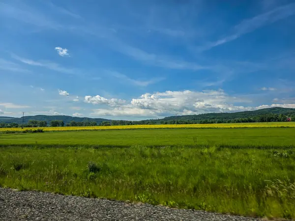 Uçsuz bucaksız zirveleri olan büyüleyici dağ manzarası bulutlarda kayboluyor. Seyahat markaları, ilham verici projeler ve eko-tasarım için mükemmel.
