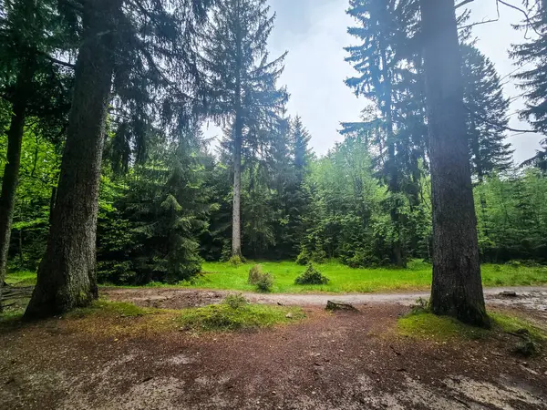 Görkemli tepeleri ve sonsuz vadileriyle nefes kesici dağ manzarası. Seyahat reklamcılığı, ilham verici içerik ve açık hava aktivite markalaşması için mükemmel.