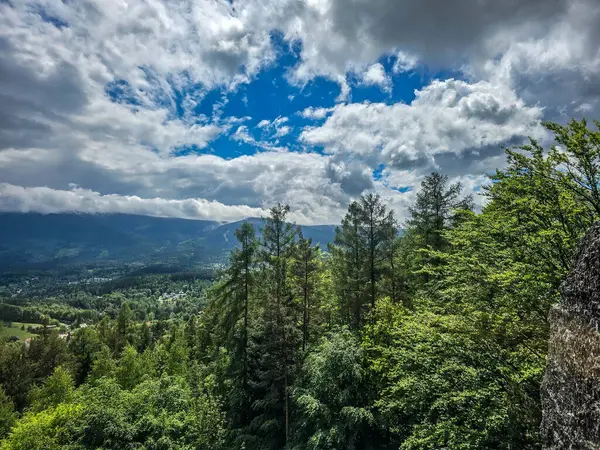 Gözlem güvertesinden nefes kesen dağ manzarası. Seyahat siteleri, tatil köyü reklamları ve ilham verici içerikler için mükemmel.